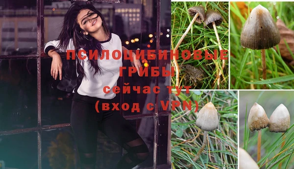 альфа пвп Инсар