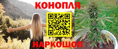 дживик Берёзовский