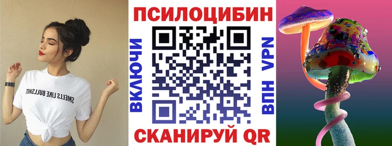 как найти   Ессентуки  Псилоцибиновые грибы ЛСД 