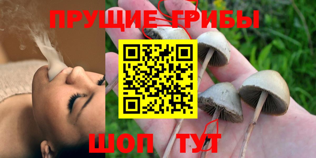 Галлюциногенные грибы ЛСД  наркота  Ессентуки 