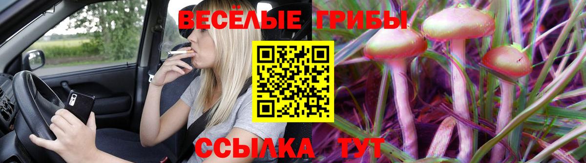 Псилоцибиновые грибы Magic Shrooms Ессентуки