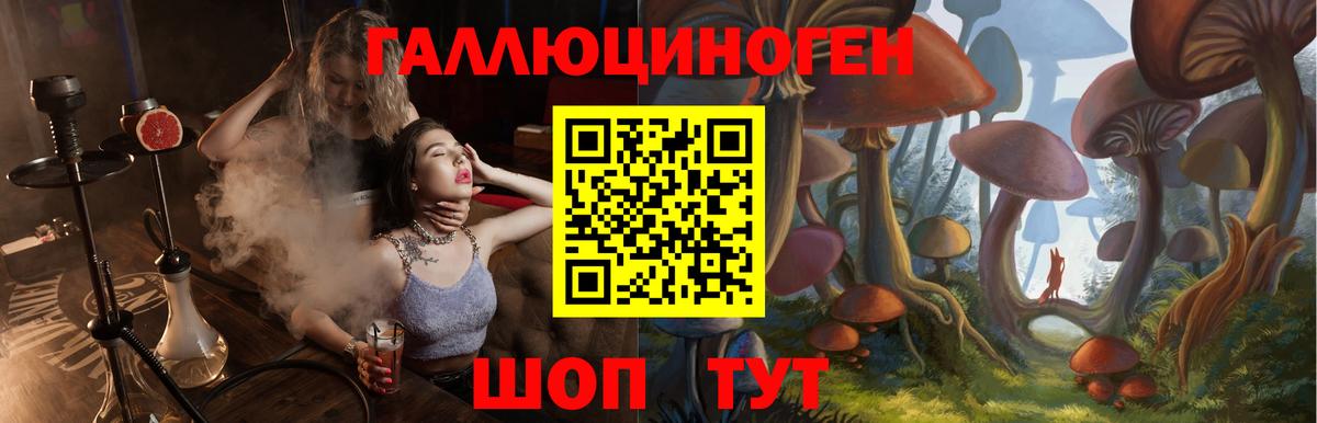 Галлюциногенные грибы GOLDEN TEACHER  купить наркоту  Ессентуки  Вход с VPN 